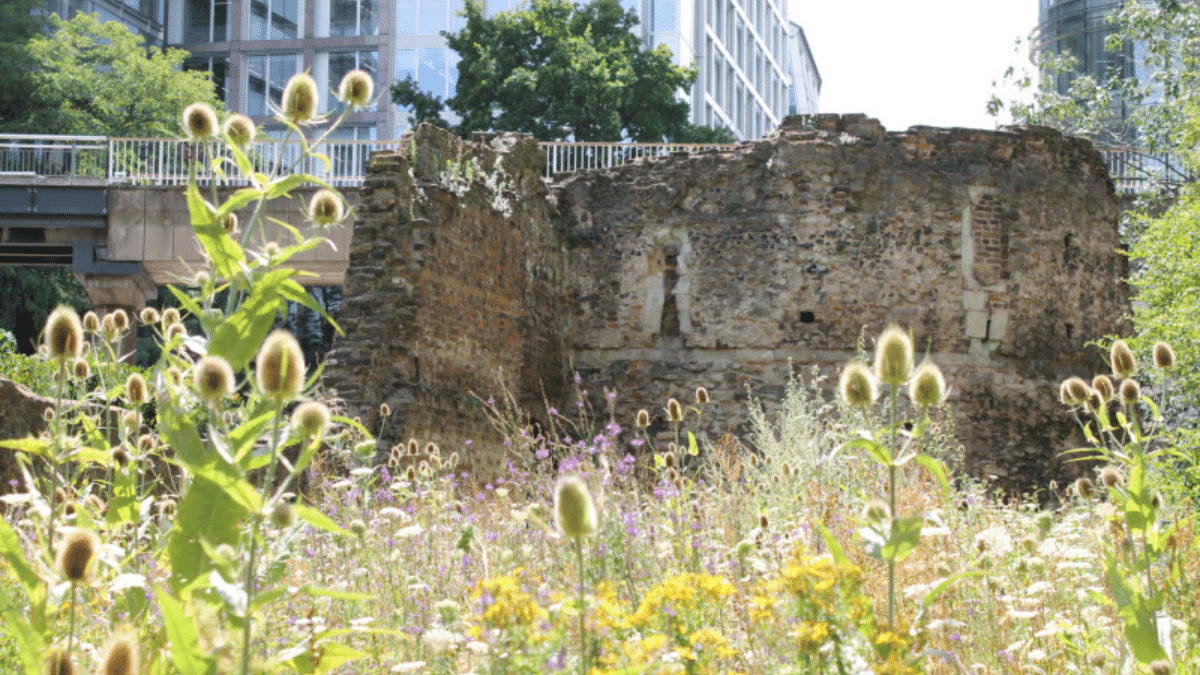 Have your say on improvements to Barber-Surgeons’ Gardens